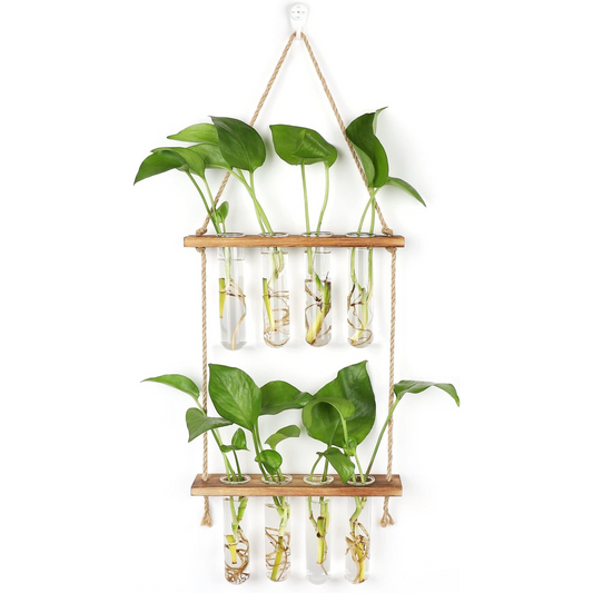 Wall-Mounted Hydroponic Glass Vase