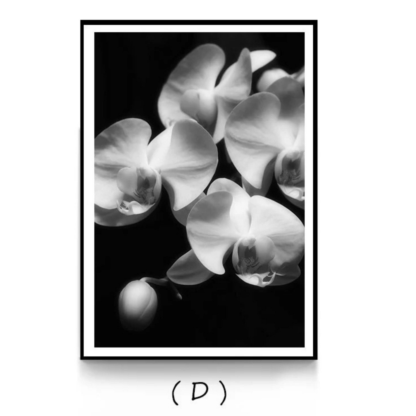 Decorative Custom Canvas Painting