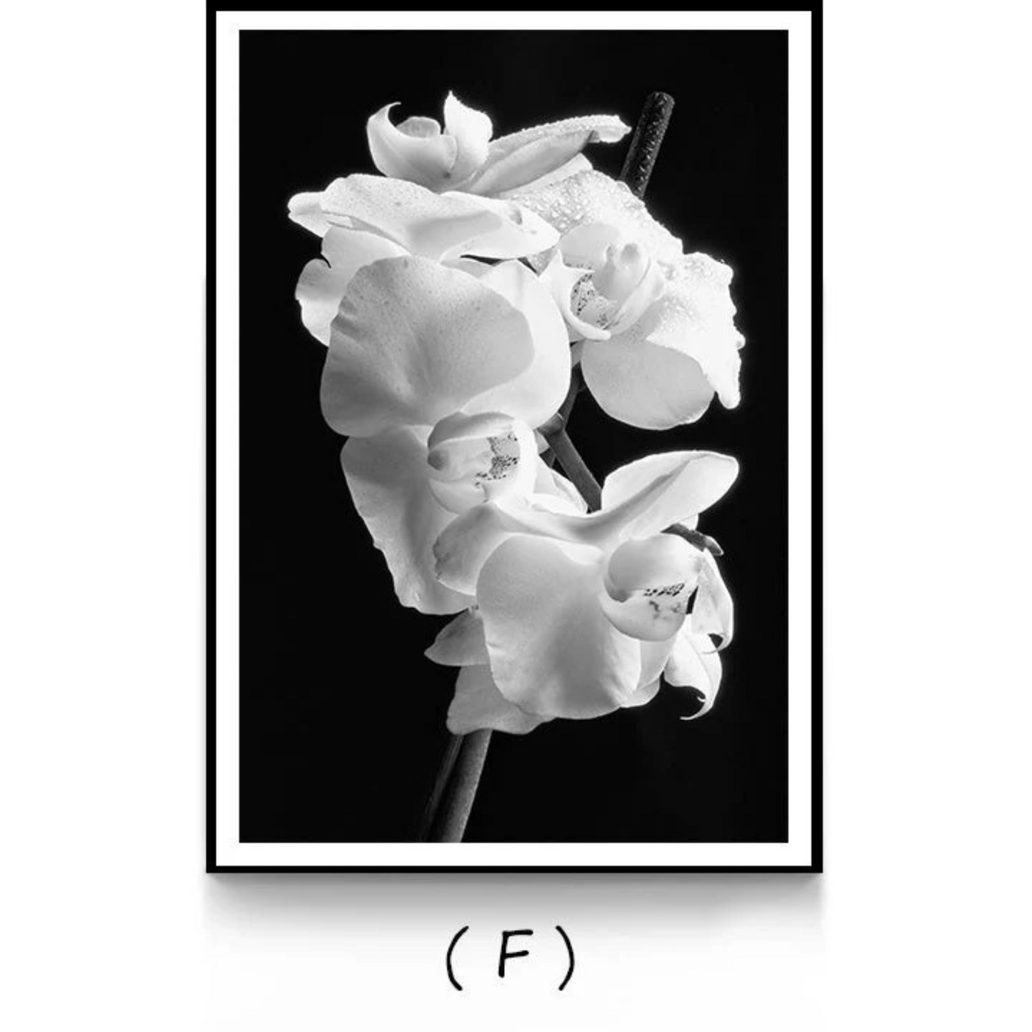 Decorative Custom Canvas Painting