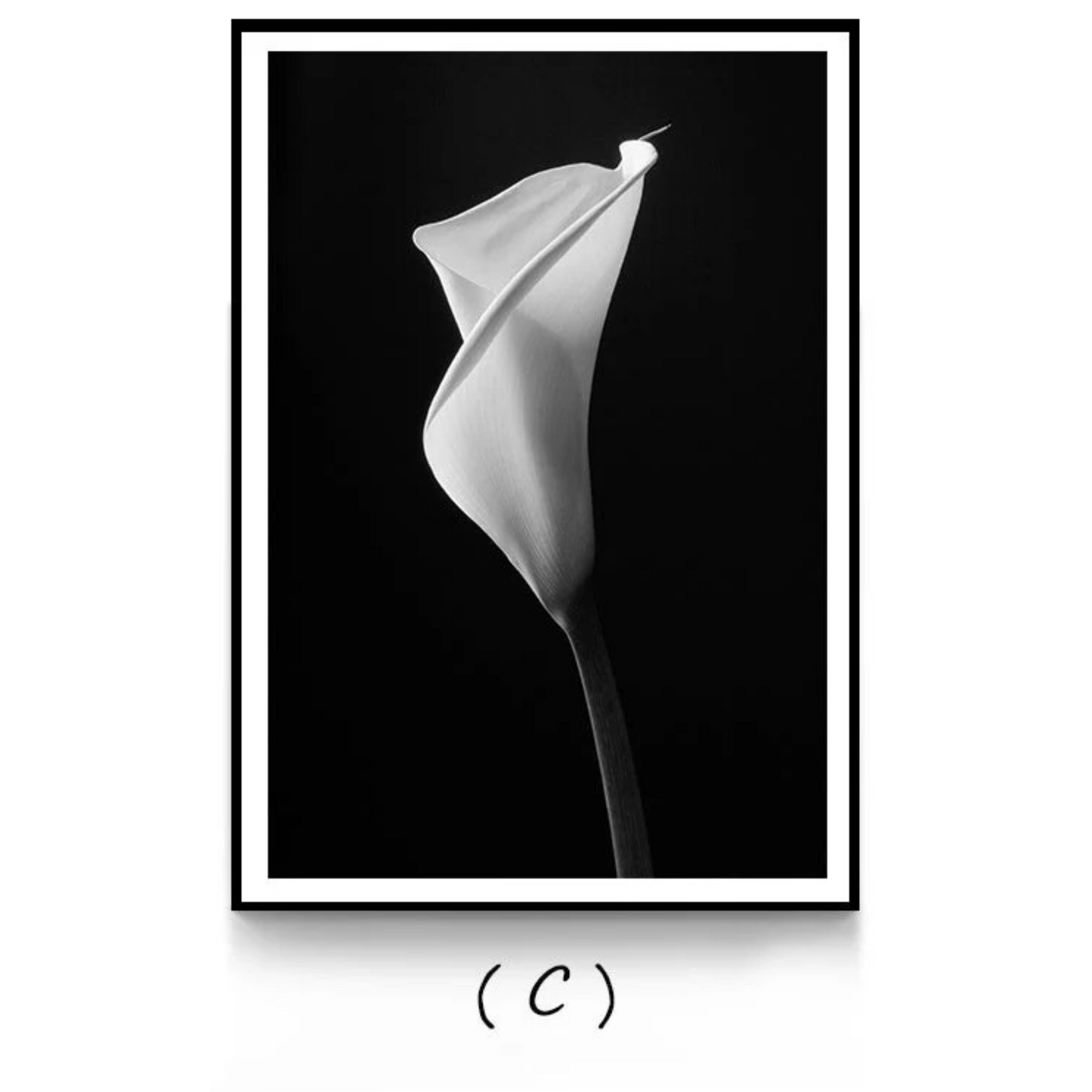 Decorative Custom Canvas Painting